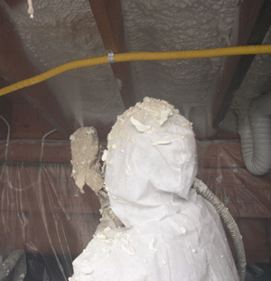  TX crawl space insulation